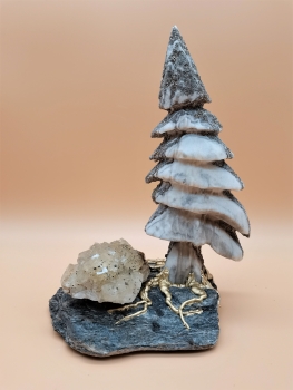 Preview: Binntree mit Fluorit auf Bündnerschiefer